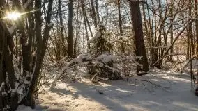 Kolejna dawka pięknej, mazurskiej zimy przy jez. Dargin - zdjęcie 42