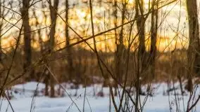 Zachód słońca w okolicach zimowych Kruklanek - zdjęcie 12