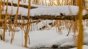 Zachód słońca w okolicach zimowych Kruklanek - zdjęcie 13