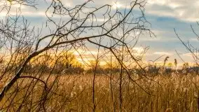 Zachód słońca w okolicach zimowych Kruklanek - zdjęcie 31