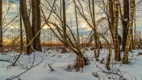 Zachód słońca w okolicach zimowych Kruklanek - zdjęcie 56