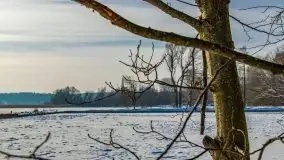 Trwa remont portu Tabat, ma być gotowy na sezon 2021 - zdjęcie 19