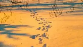 Zachód słońca w okolicach Starych Juch, 02.2021 - zdjęcie 29