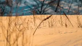 Zachód słońca w okolicach Starych Juch, 02.2021 - zdjęcie 23