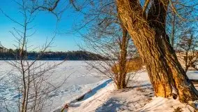 Zimowe Mikołajki skąpane w zachodzącym słońcu, 02.2021 - zdjęcie 8