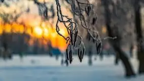 Wschód słońca w Giżycku w zimowej oprawie, 02.2021 - zdjęcie 3