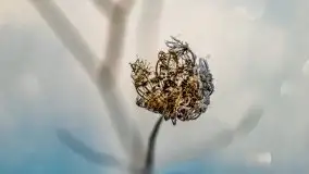 Mikołajki w zimowej scenerii, luty 2021 r. - zdjęcie 47