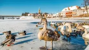 Mikołajki w zimowej scenerii, luty 2021 r. - zdjęcie 59