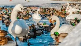 Mikołajki w zimowej scenerii, luty 2021 r. - zdjęcie 73