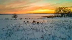 Zachód słońca Pierkunowo i okolice, luty 2021 - zdjęcie 80