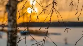 Zachód słońca Pierkunowo i okolice, luty 2021 - zdjęcie 14