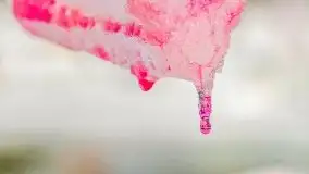 Fotorelacja z rzeźbienia w lodzie w Giżycku - zdjęcie 39