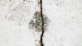 Okolice Kleszczewa w zimowej scenerii, styczeń 2021 - zdjęcie 17