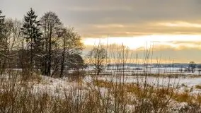 Okolice Kleszczewa w zimowej scenerii, styczeń 2021 - zdjęcie 1