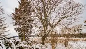 Okolice Kleszczewa w zimowej scenerii, styczeń 2021 - zdjęcie 20