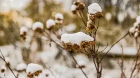 Okolice Kleszczewa w zimowej scenerii, styczeń 2021 - zdjęcie 32