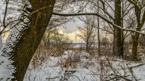 Okolice Kleszczewa w zimowej scenerii, styczeń 2021 - zdjęcie 44