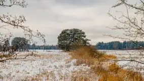 Okolice Kleszczewa w zimowej scenerii, styczeń 2021 - zdjęcie 30