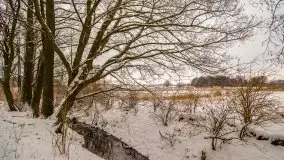 Okolice Kleszczewa w zimowej scenerii, styczeń 2021 - zdjęcie 52