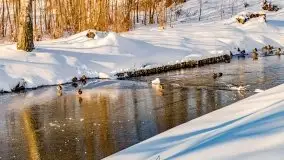 Stare Juchy w zimowej aurze, luty 2021 r. - zdjęcie 24