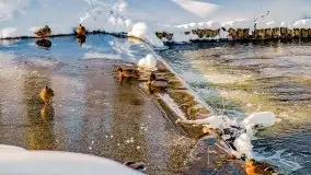 Stare Juchy w zimowej aurze, luty 2021 r. - zdjęcie 5