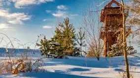 Stare Juchy w zimowej aurze, luty 2021 r. - zdjęcie 71