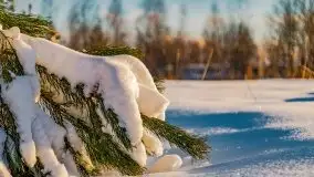 Stare Juchy w zimowej aurze, luty 2021 r. - zdjęcie 78