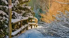 Stare Juchy w zimowej aurze, luty 2021 r. - zdjęcie 53