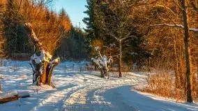 Zachód słońca nad jeziorem Siercze, luty 2021  - zdjęcie 21