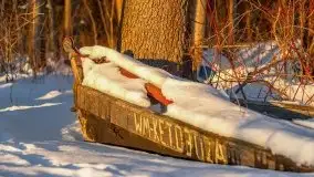 Zachód słońca nad jeziorem Siercze, luty 2021  - zdjęcie 34