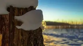 Zachód słońca nad jeziorem Siercze, luty 2021  - zdjęcie 43