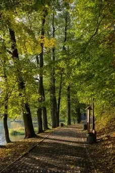 Miłośnicy Mazur - piękno regionu uchwycone przez Justynę Słuchocką - zdjęcie 20