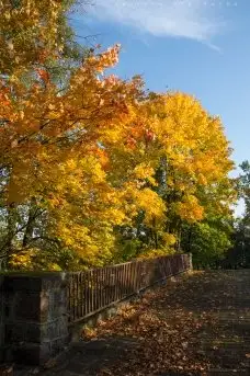Miłośnicy Mazur - piękno regionu uchwycone przez Justynę Słuchocką - zdjęcie 29