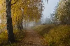 Miłośnicy Mazur - piękno regionu uchwycone przez Justynę Słuchocką - zdjęcie 2