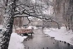 Miłośnicy Mazur - piękno regionu uchwycone przez Justynę Słuchocką - zdjęcie 10