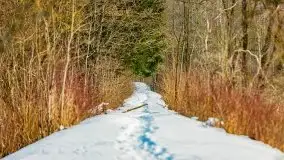 Śluza w Leśniewie Górnym w zimowej szacie, luty 2021 - zdjęcie 26