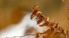 Śluza w Leśniewie Górnym w zimowej szacie, luty 2021 - zdjęcie 28