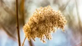 Śluza w Leśniewie Górnym w zimowej szacie, luty 2021 - zdjęcie 20