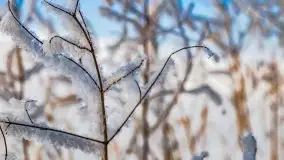 Jezioro Ślepieniec skąpane w zimowej bieli, luty 2021 - zdjęcie 11