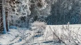 Jezioro Ślepieniec skąpane w zimowej bieli, luty 2021 - zdjęcie 7