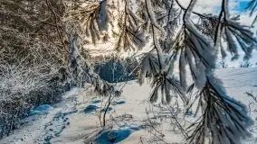 Jezioro Ślepieniec skąpane w zimowej bieli, luty 2021 - zdjęcie 6