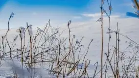 Jezioro Ślepieniec skąpane w zimowej bieli, luty 2021 - zdjęcie 23