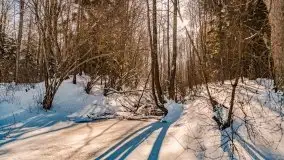 Jezioro Ślepieniec skąpane w zimowej bieli, luty 2021 - zdjęcie 22