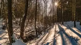 Jezioro Ślepieniec skąpane w zimowej bieli, luty 2021 - zdjęcie 37