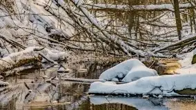 Jezioro Ślepieniec skąpane w zimowej bieli, luty 2021 - zdjęcie 26