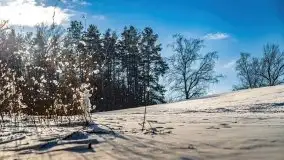 Jezioro Ślepieniec skąpane w zimowej bieli, luty 2021 - zdjęcie 25