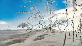 Jezioro Ślepieniec skąpane w zimowej bieli, luty 2021 - zdjęcie 58