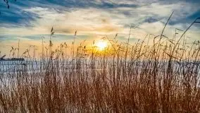 Zachód słońca nad jeziorem Niegocin, luty 2021 - zdjęcie 29