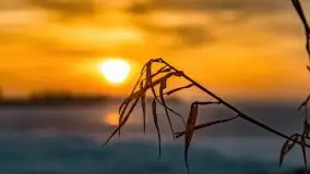 Zachód słońca nad jeziorem Niegocin, luty 2021 - zdjęcie 41