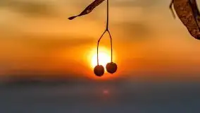 Zachód słońca nad jeziorem Niegocin, luty 2021 - zdjęcie 45